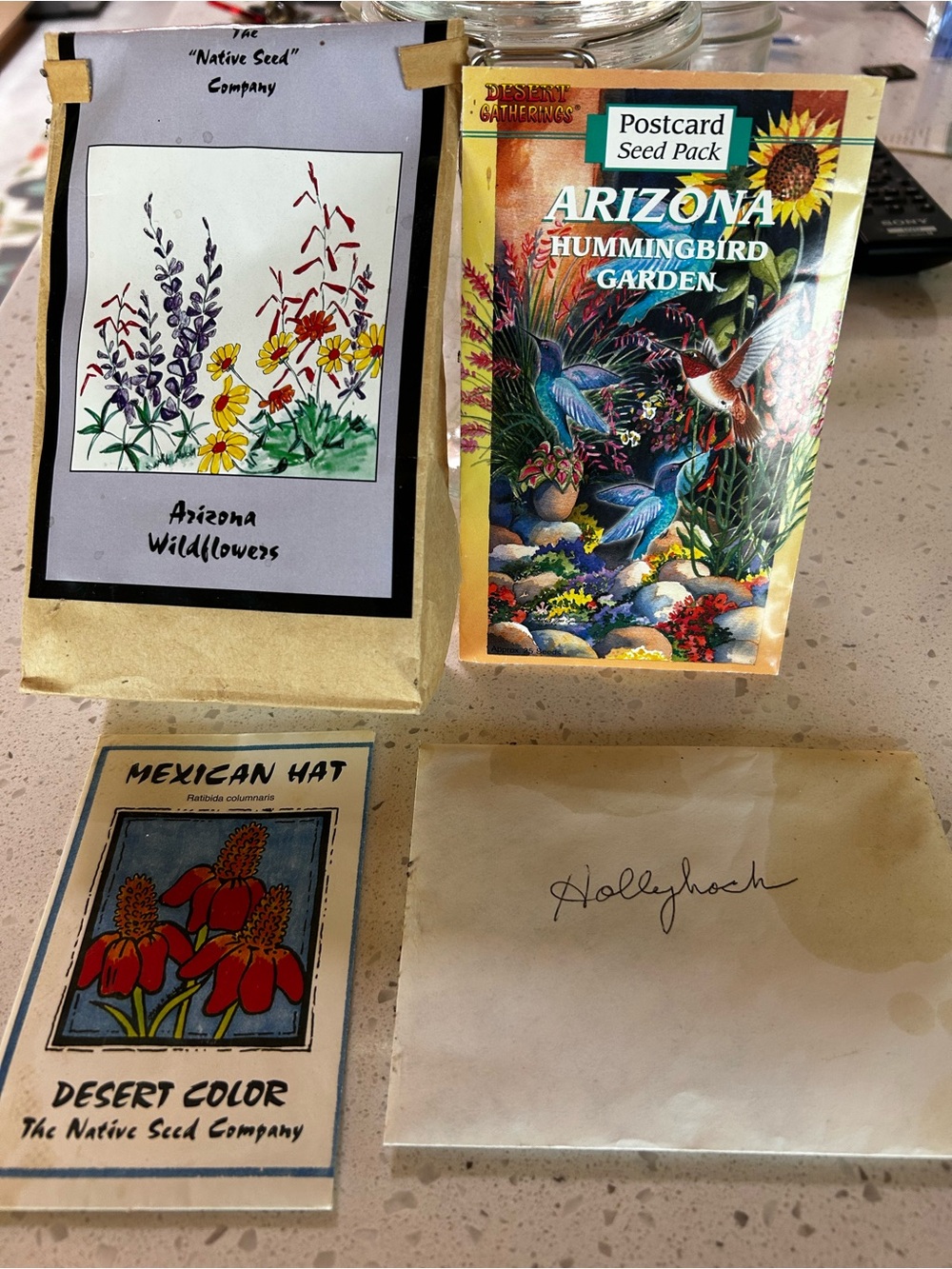 Arizona Hummingbird Garden Postcard Seed Pack - The Native Seed Co Hollyhock